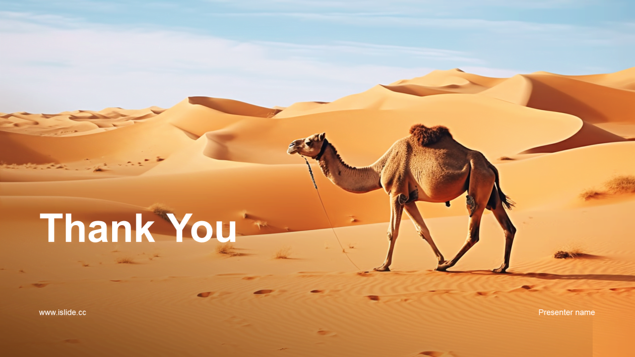 黄色现代商务宁夏城市旅游新视角PPT模板