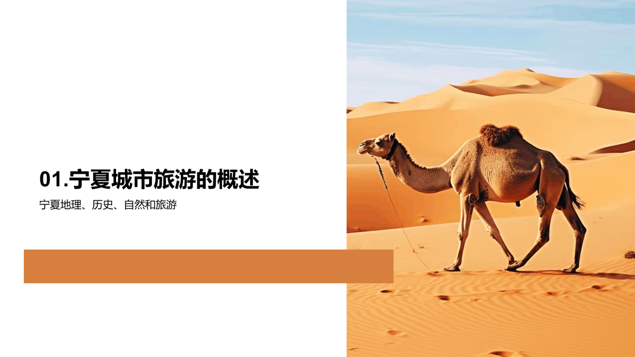 黄色现代商务宁夏城市旅游新视角PPT模板