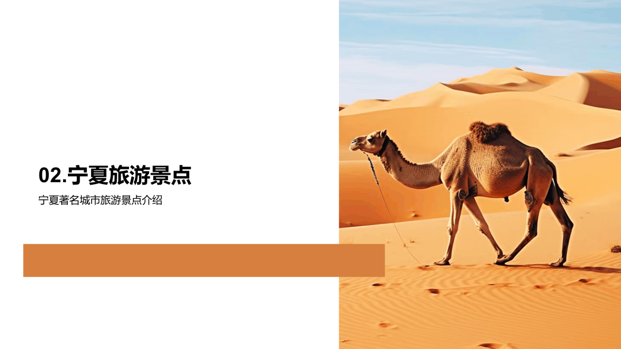 黄色现代商务宁夏城市旅游新视角PPT模板