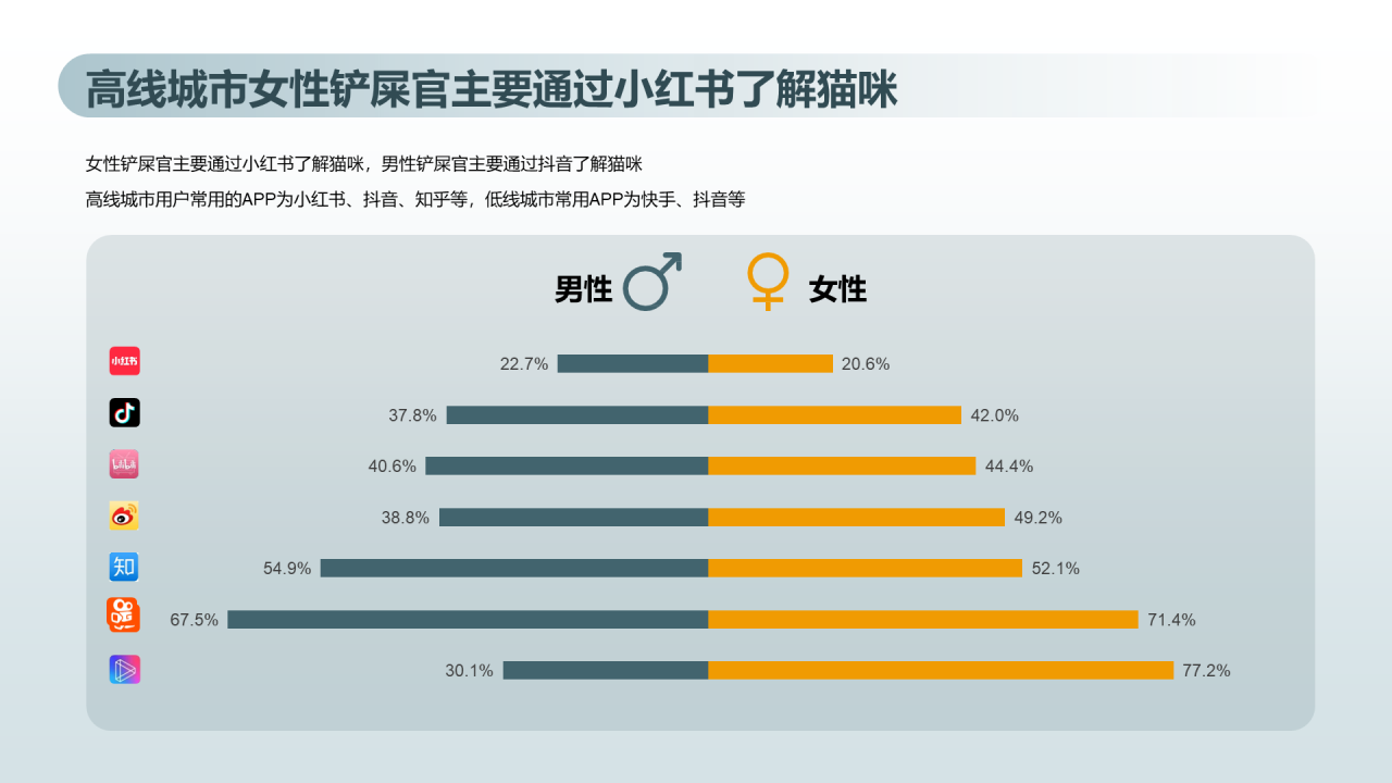 猫咪主消费洞察