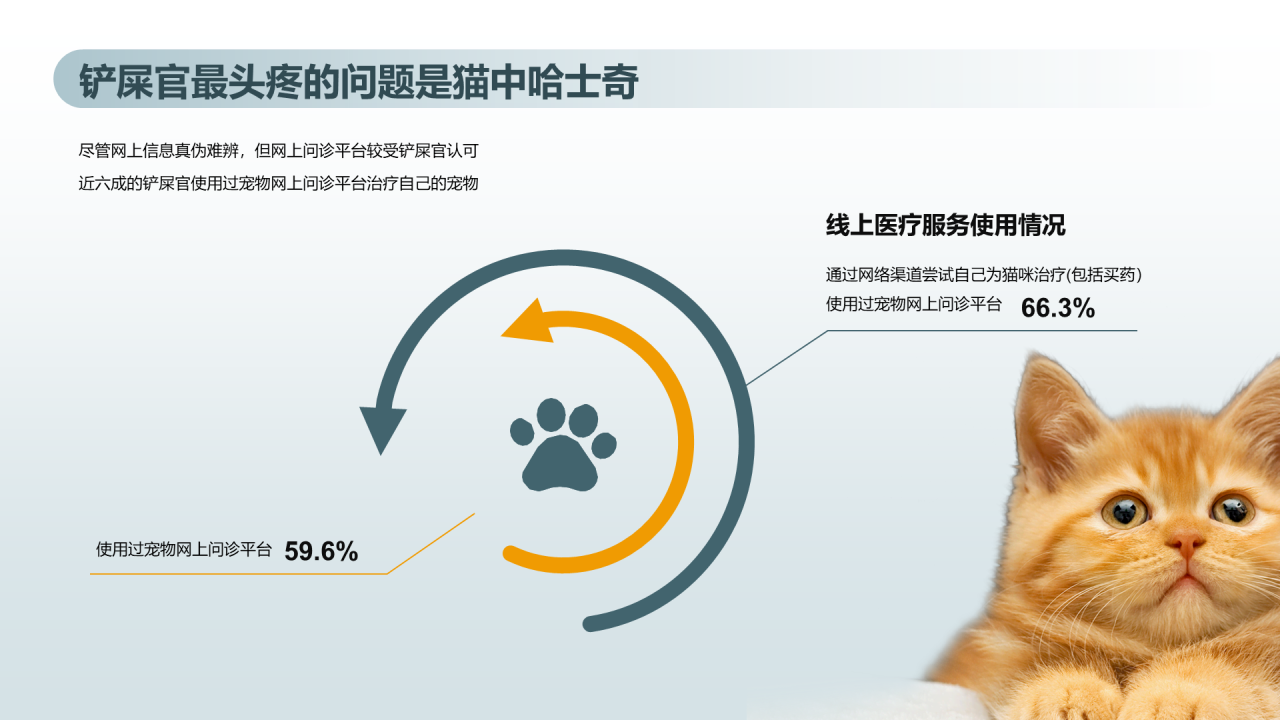 猫咪主消费洞察