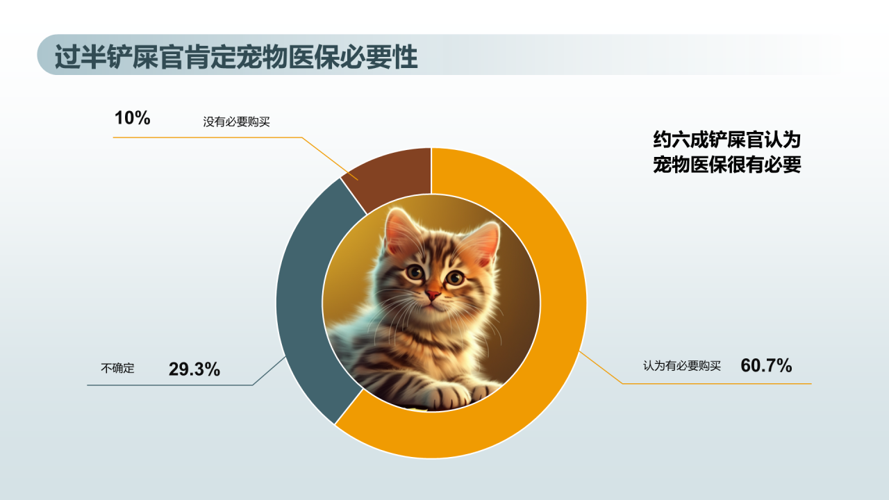 猫咪主消费洞察