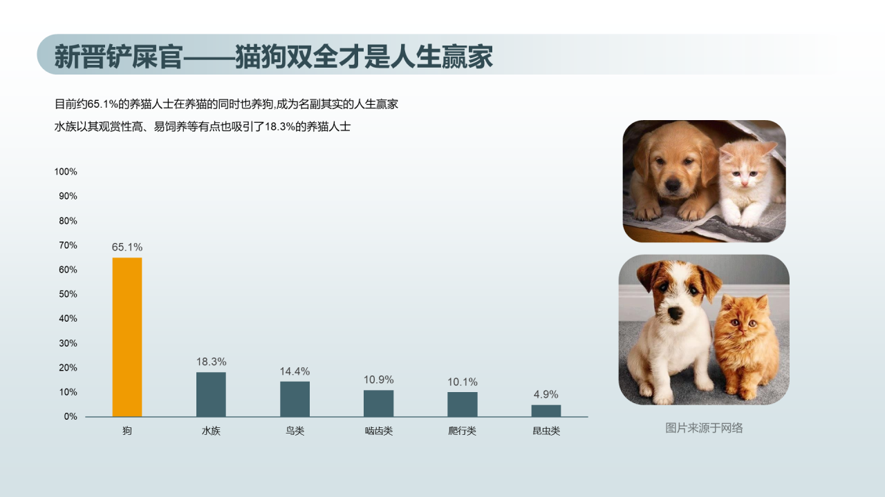 猫咪主消费洞察
