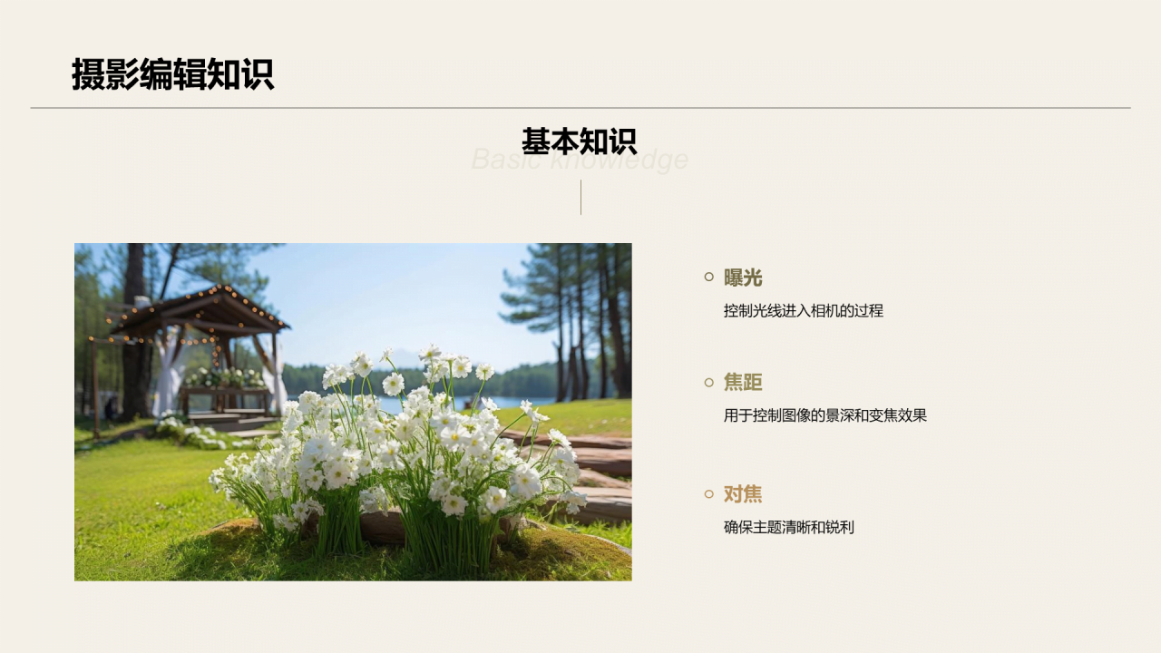 绿色商务现代婚礼记忆精彩瞬间定格相册展示PPT模板