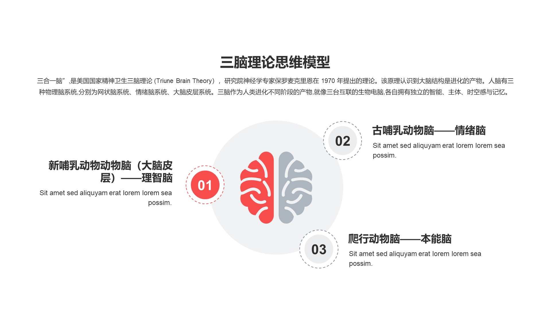 三脑理论思维模型PPT图示