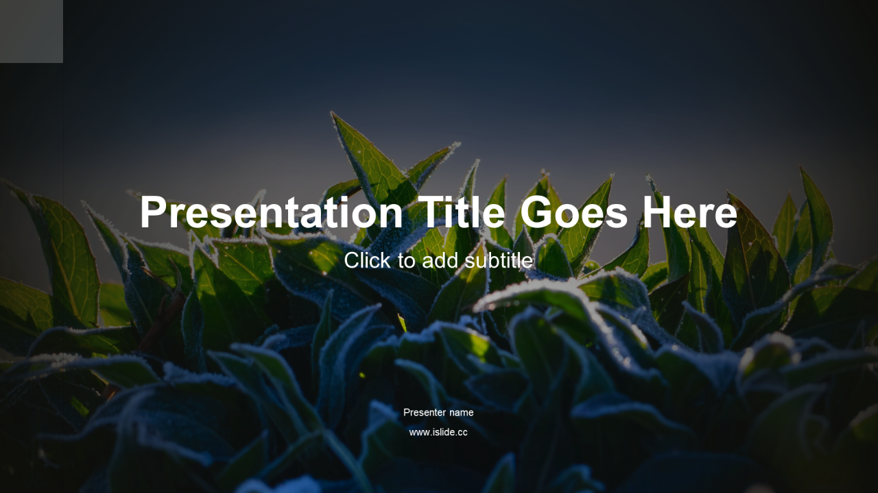 黑色商务茶叶产品宣传介绍推广PPT模板