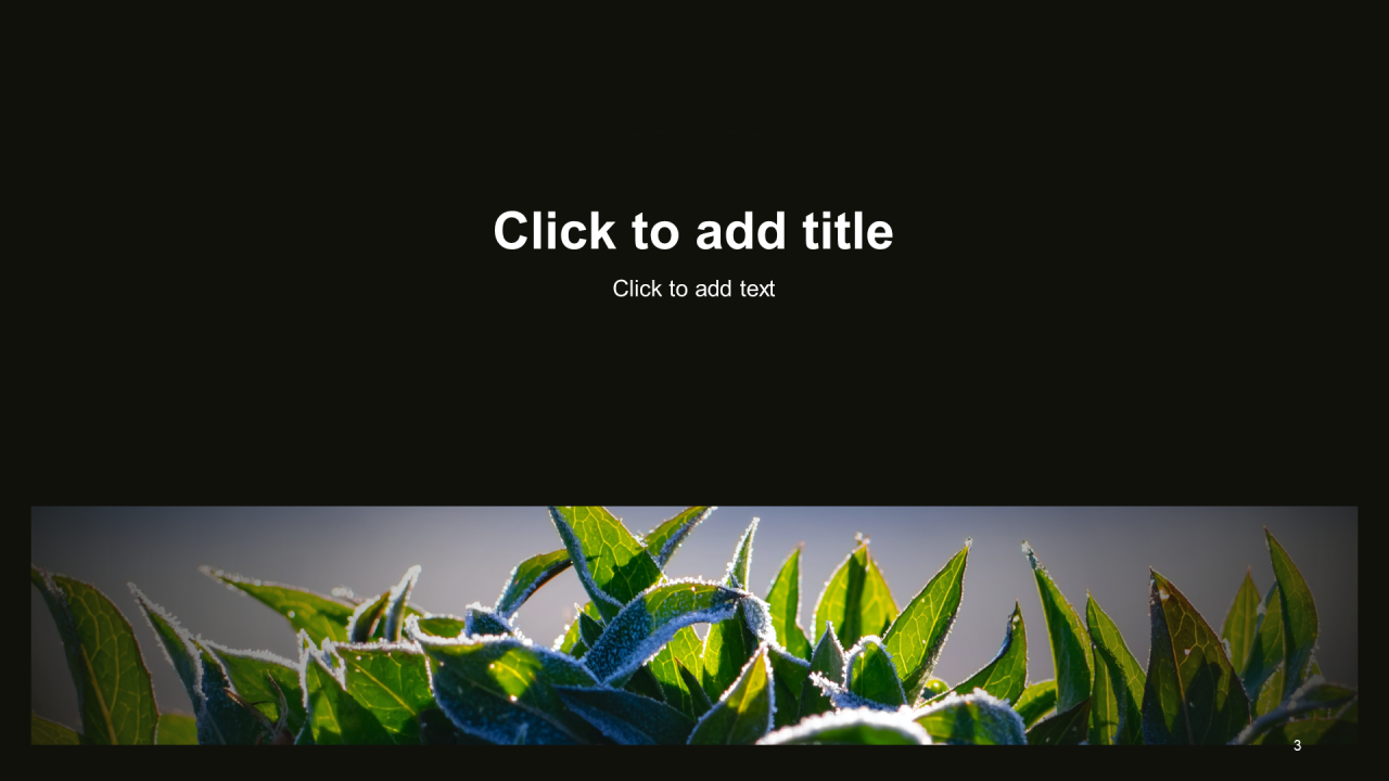 黑色商务茶叶产品宣传介绍推广PPT模板