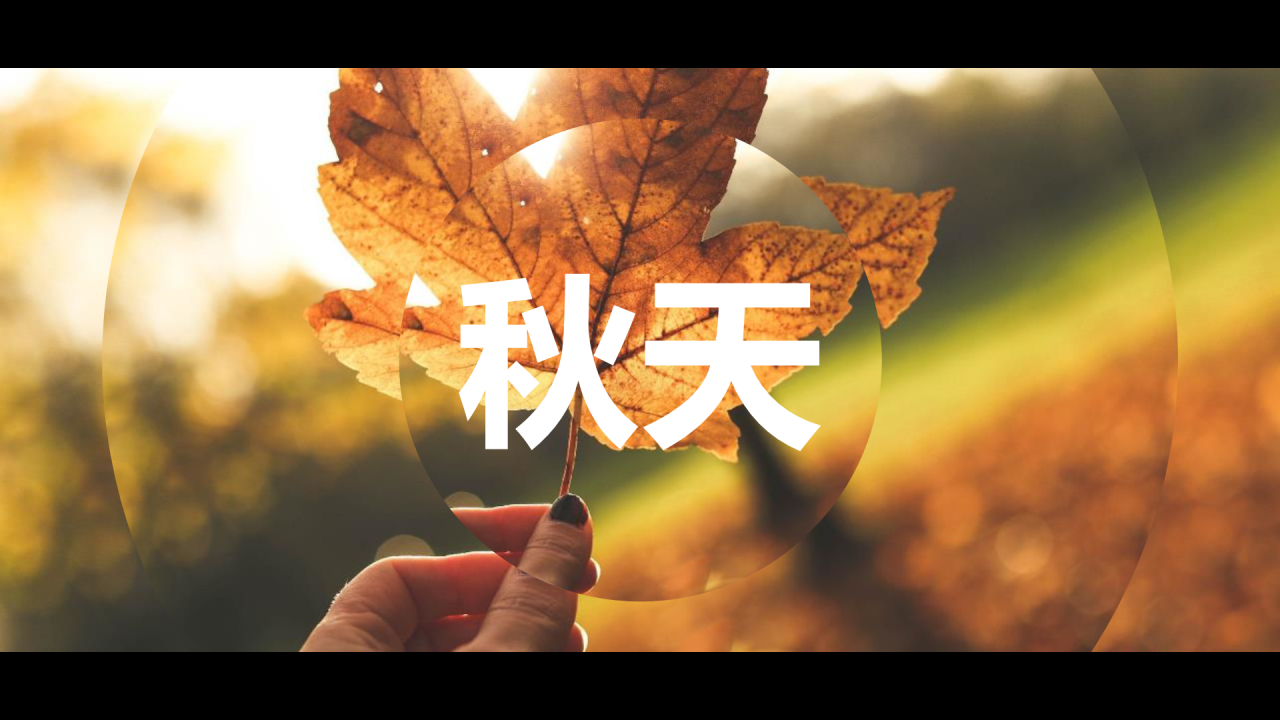 黄色现代个人年度回顾照片快闪PPT模板