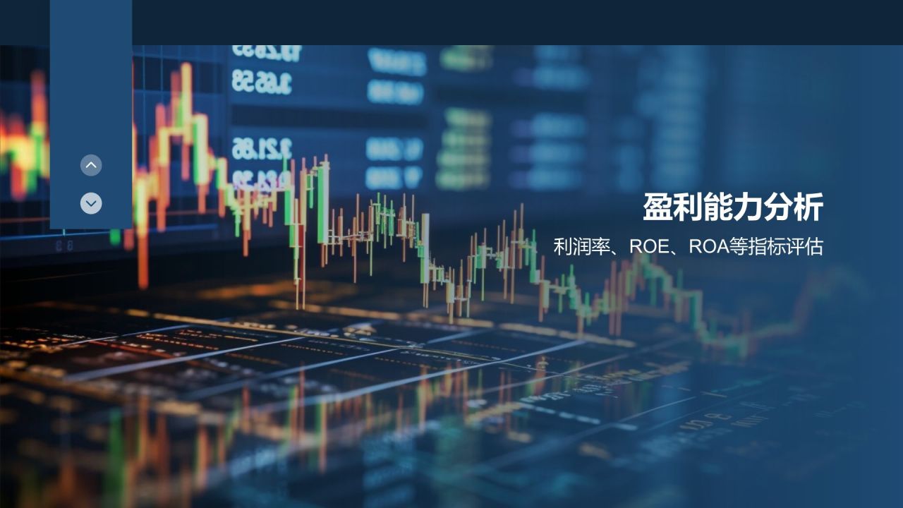 行业财务状况分析