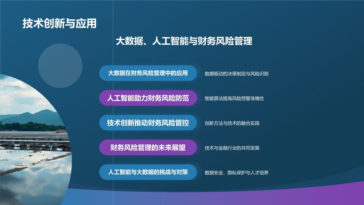 财务风险管理与防范策略