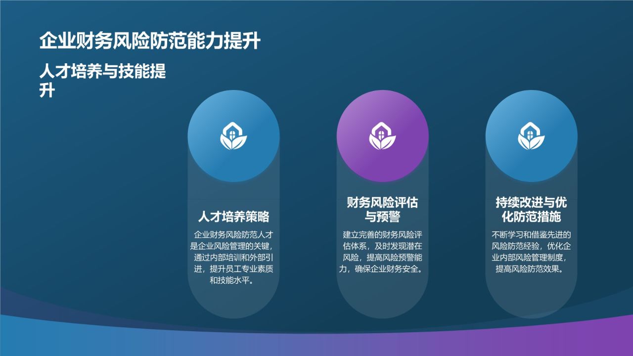 财务风险管理与防范策略
