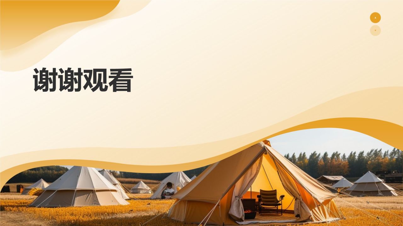 旅游策划师