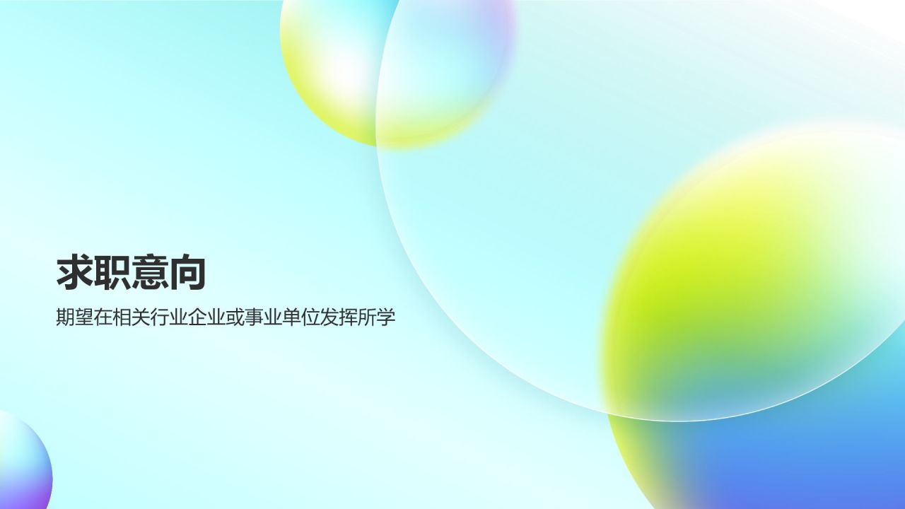 大学生个人简历