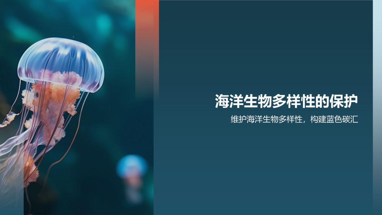 保护海洋