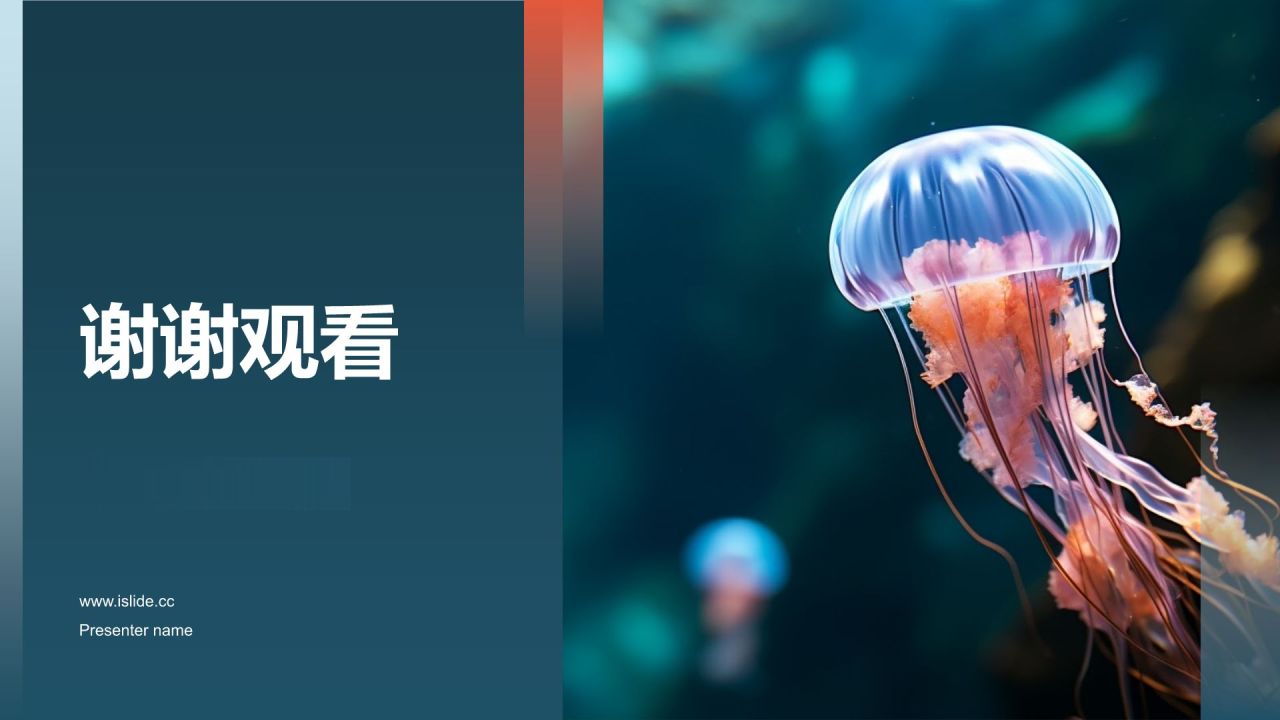 保护海洋