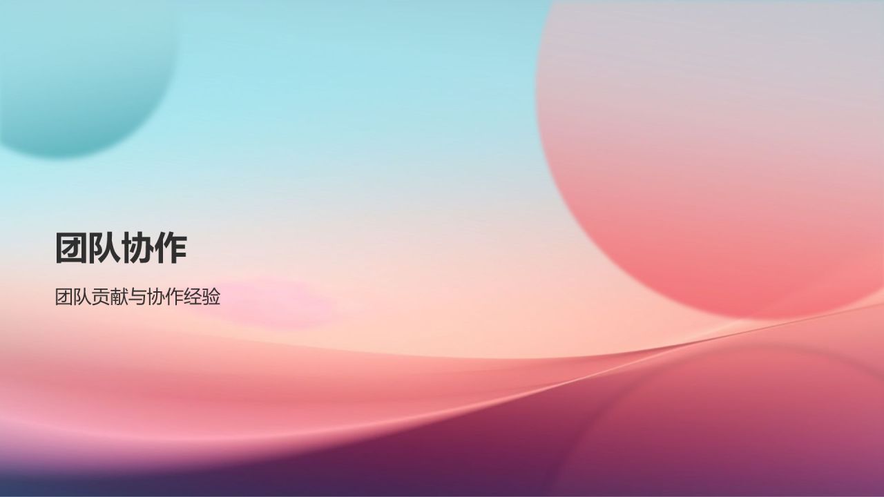 个人述职报告