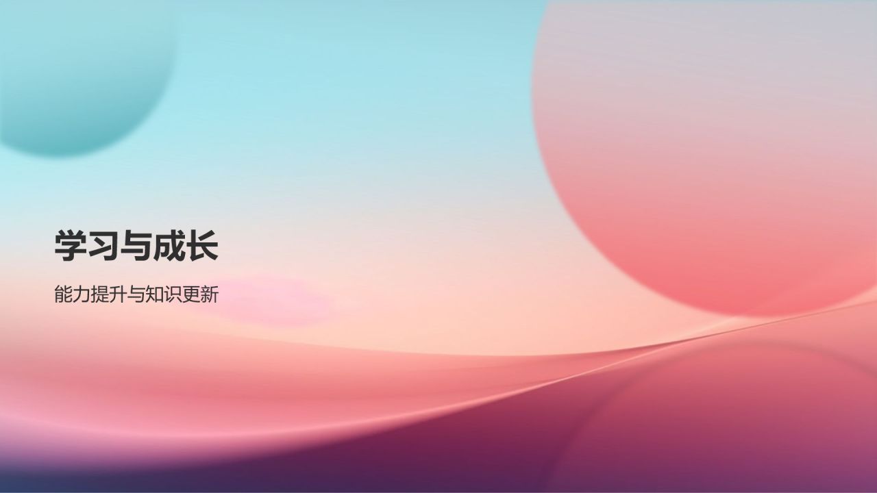 个人述职报告