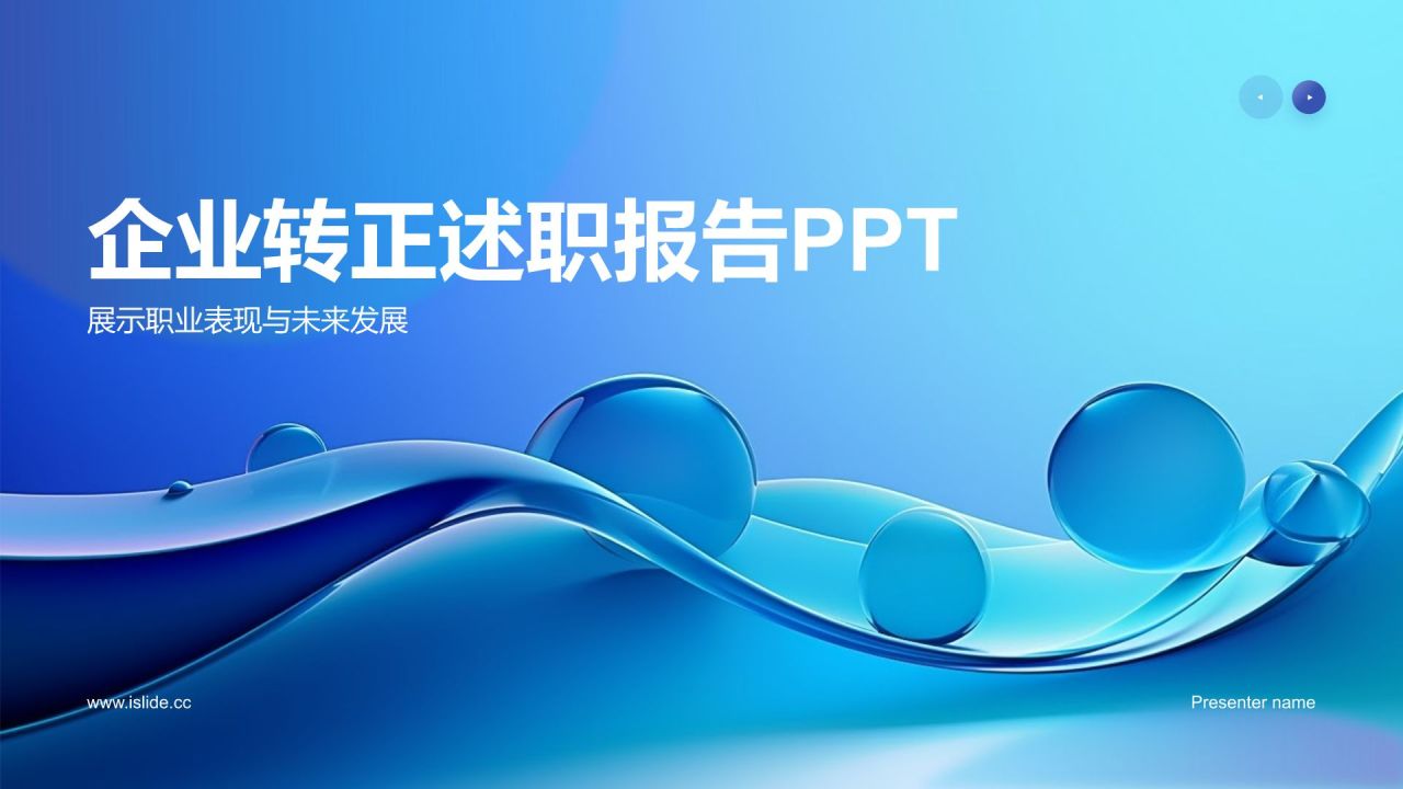 转正述职报告