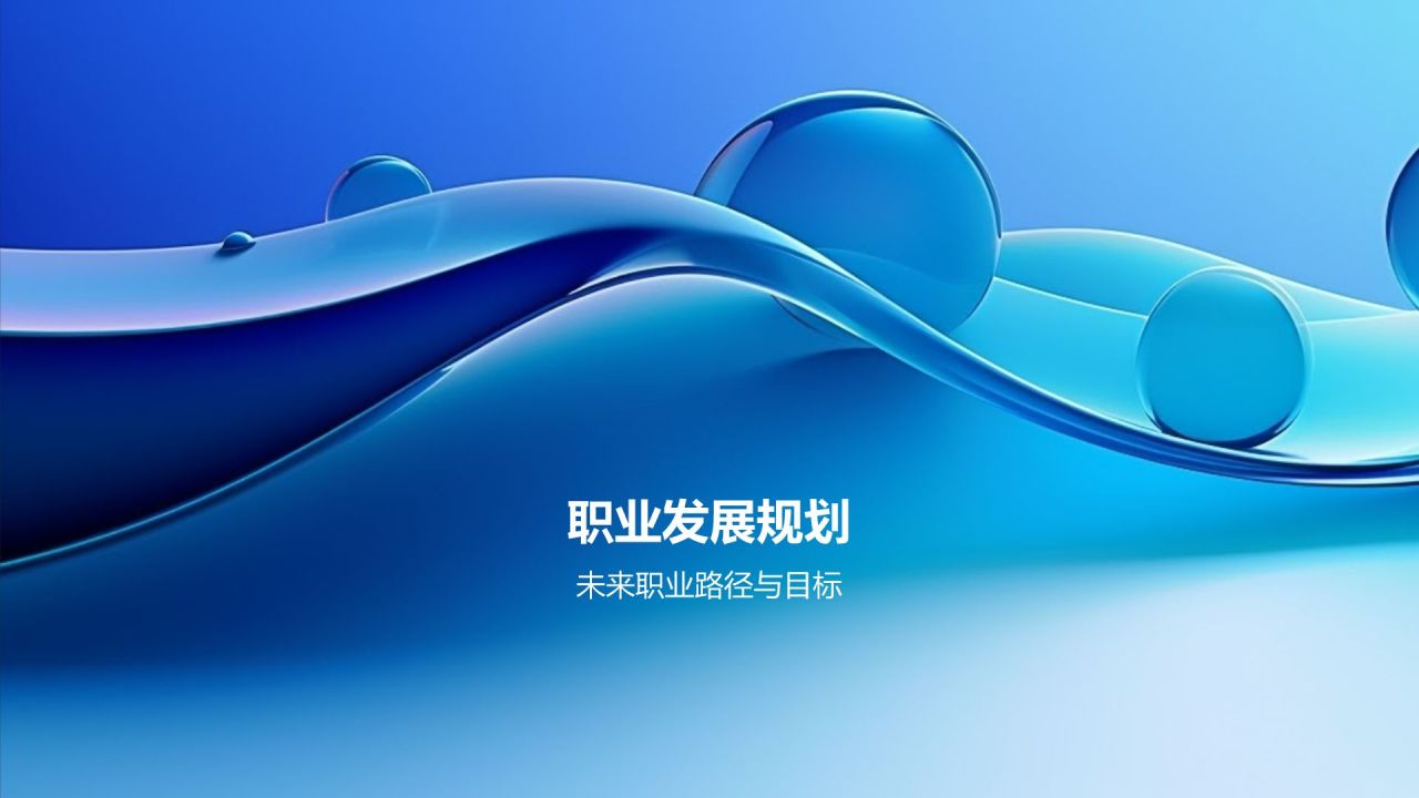 转正述职报告