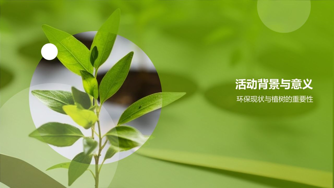 环保公益植树活动