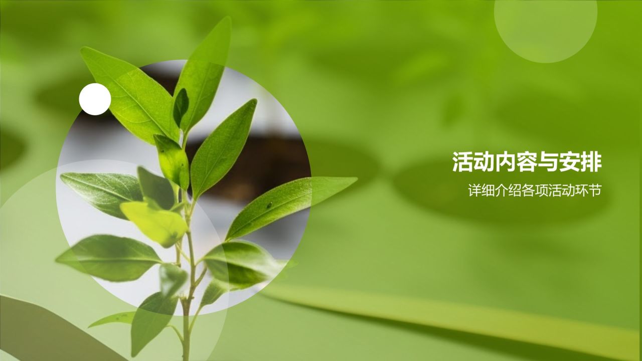 环保公益植树活动