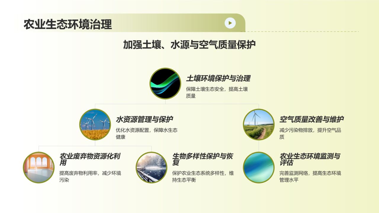 绿色农业发展路径与政策建议
