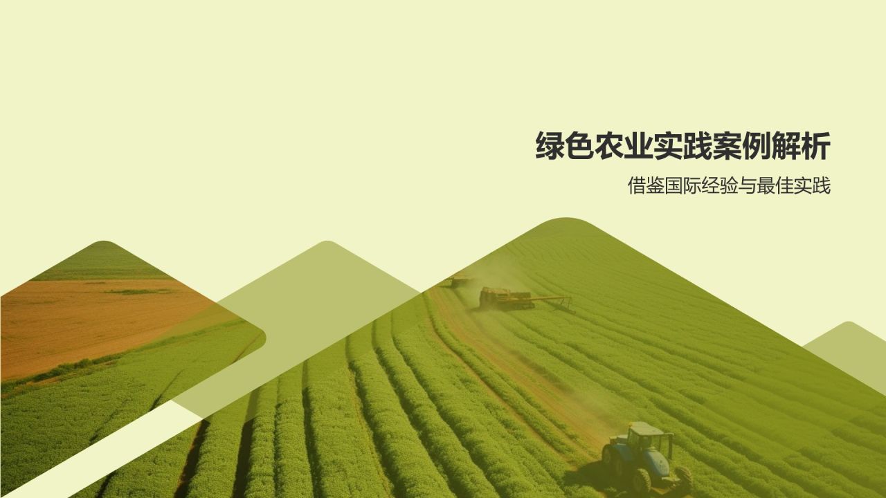 绿色农业发展路径与政策建议