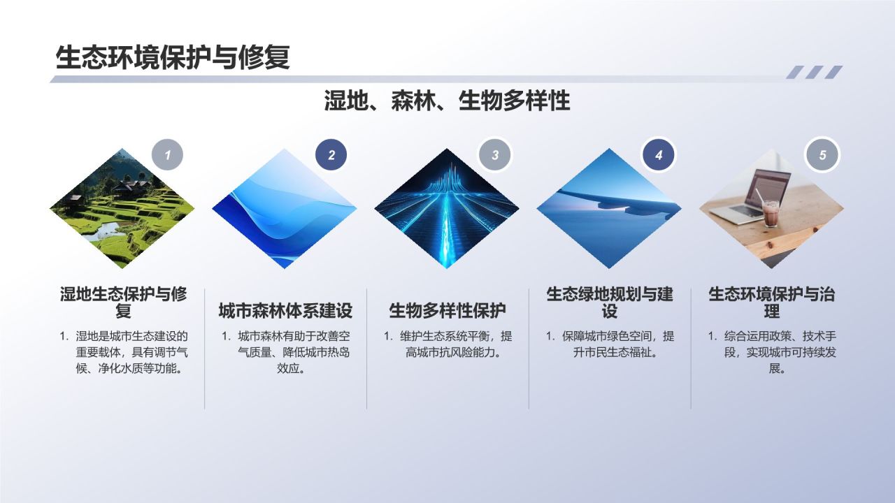 生态城市建设实践与思考
