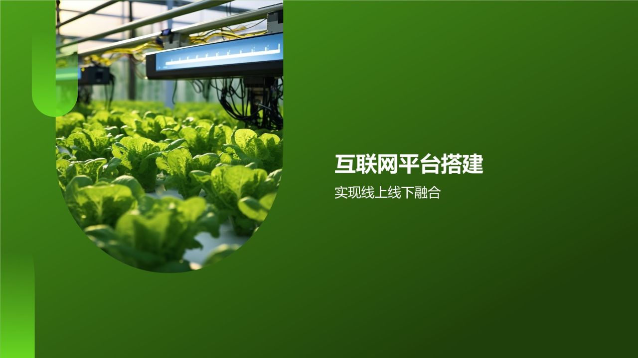 互联网+农业产业链整合