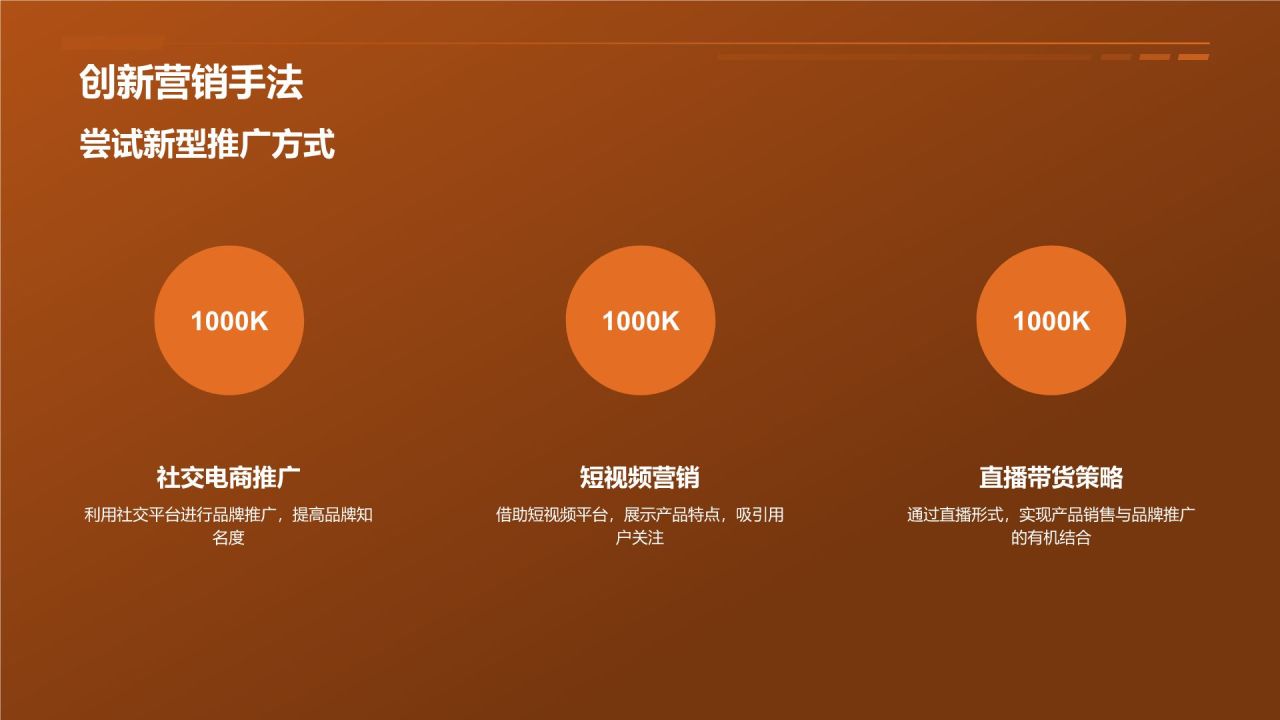 电商平台品牌推广营销策略PPT