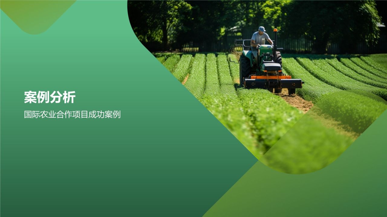 农业国际合作与农林牧渔产业发展