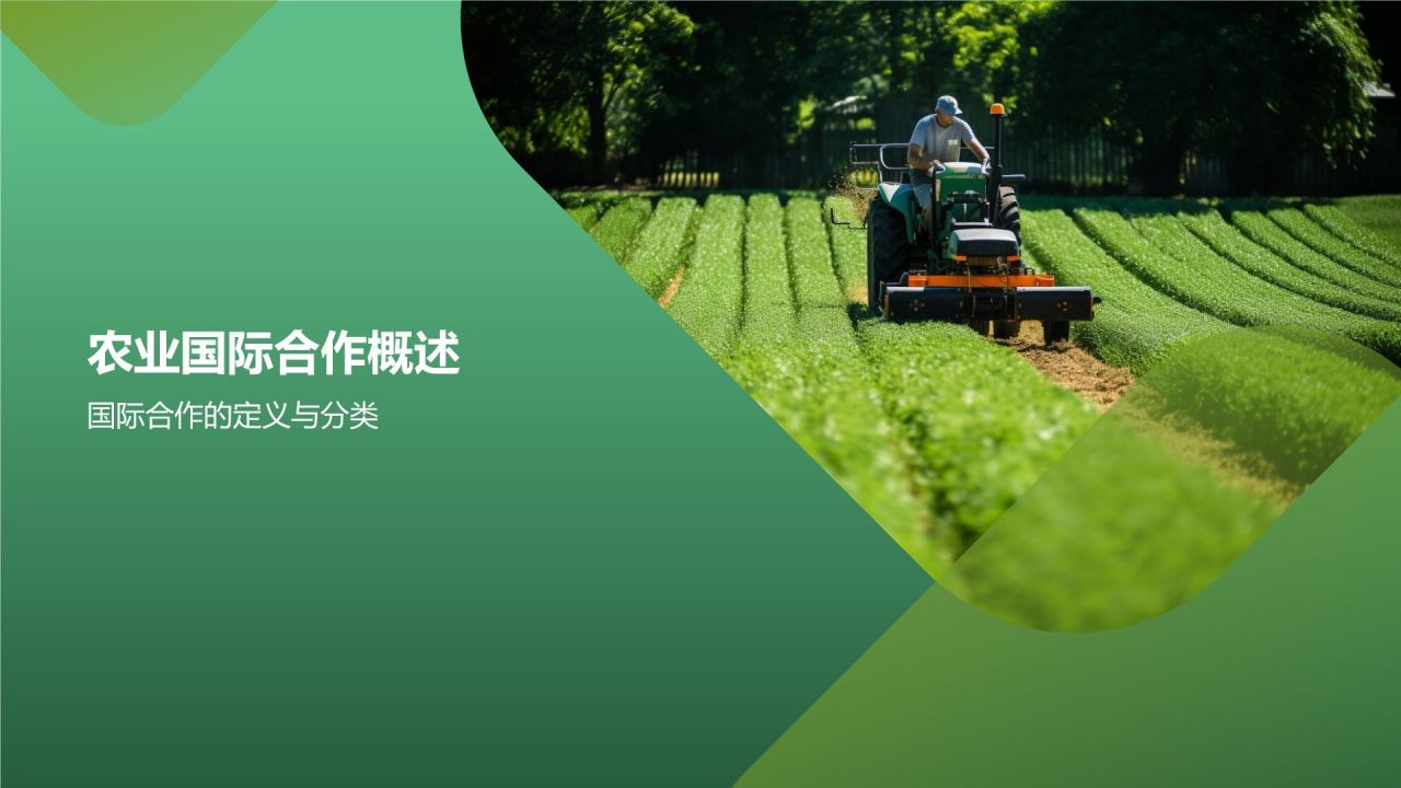 农业国际合作与农林牧渔产业发展