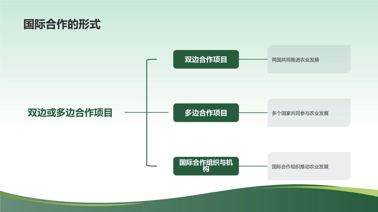 农业国际合作与农林牧渔产业发展