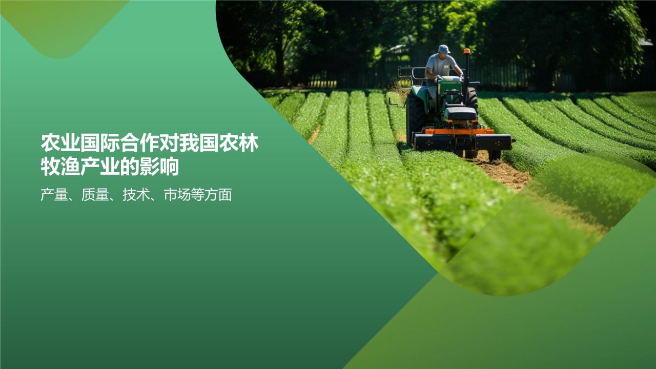 农业国际合作与农林牧渔产业发展