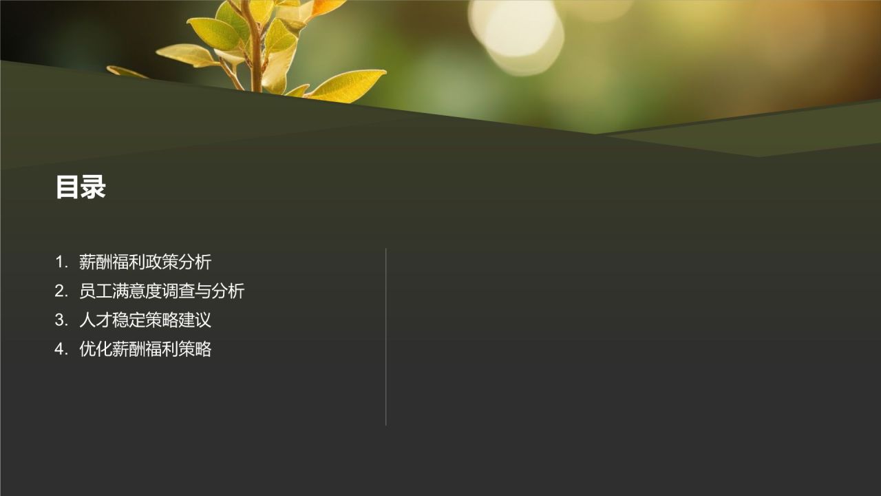 年终薪酬福利回顾