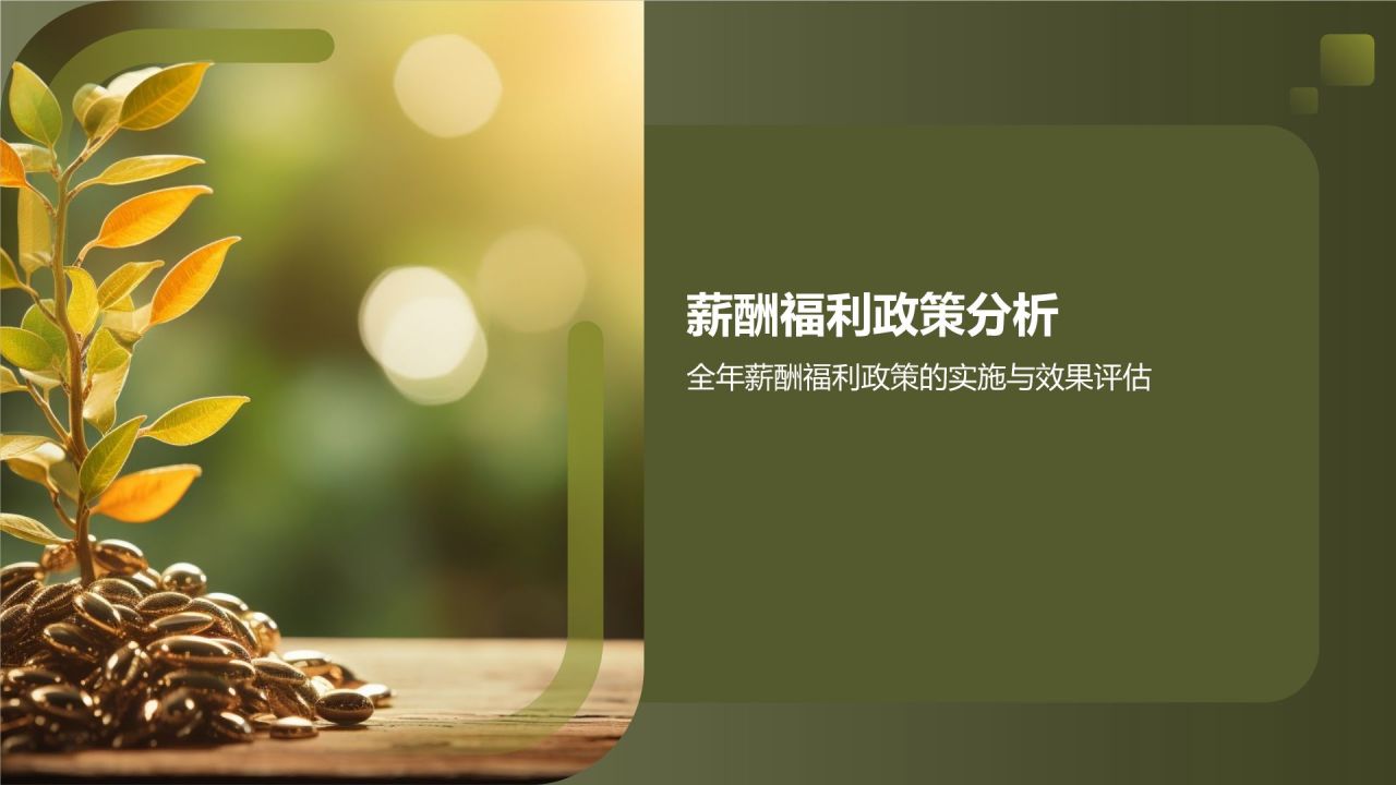 年终薪酬福利回顾