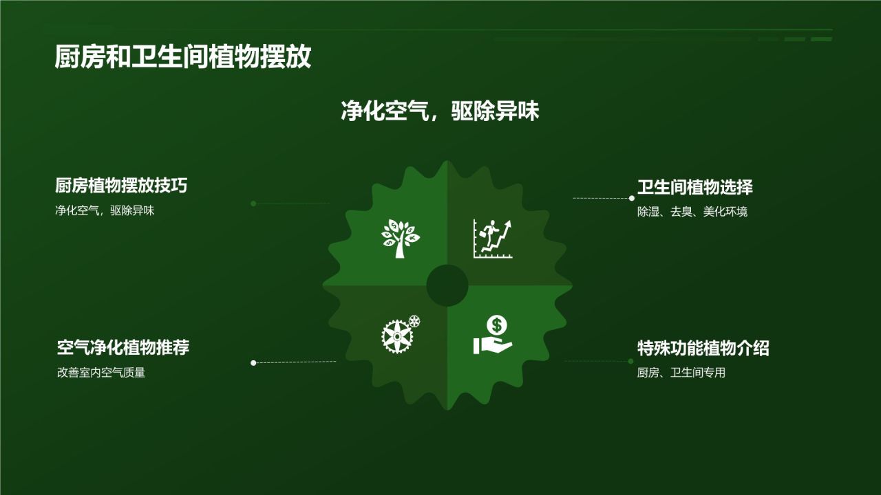 【家居绿色植物】