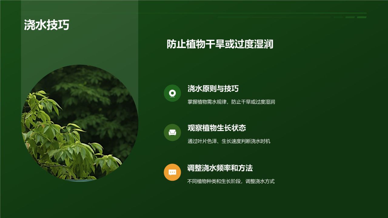 【家居绿色植物】
