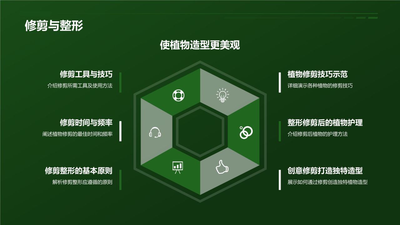 【家居绿色植物】
