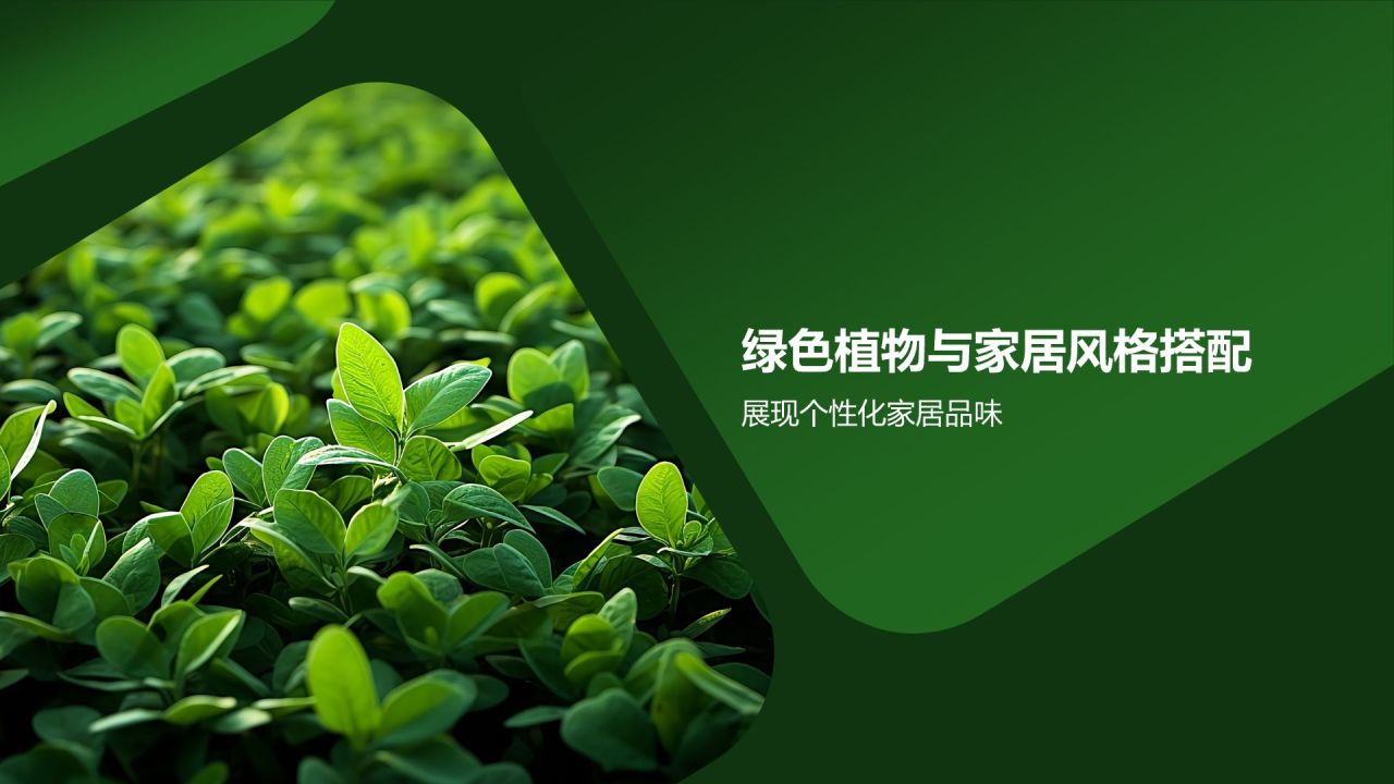 【家居绿色植物】