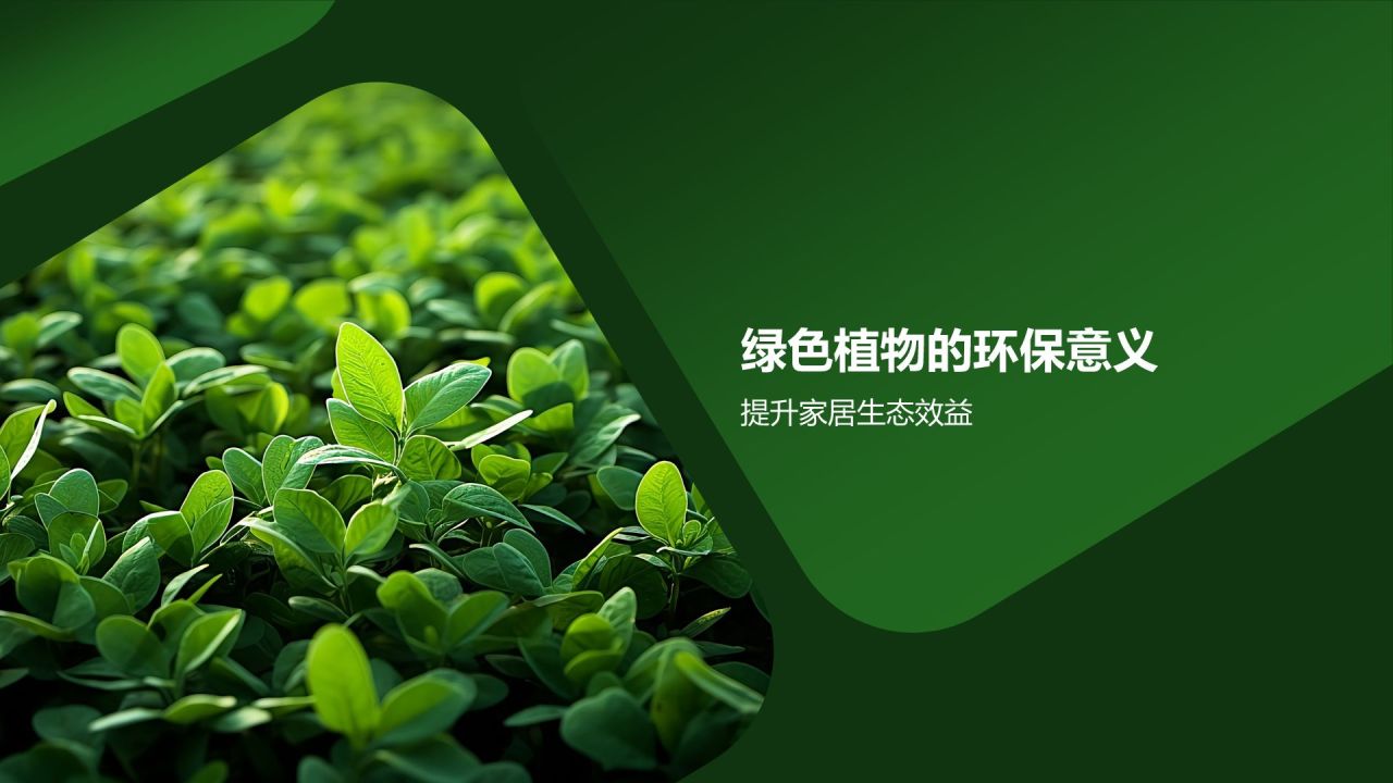 【家居绿色植物】