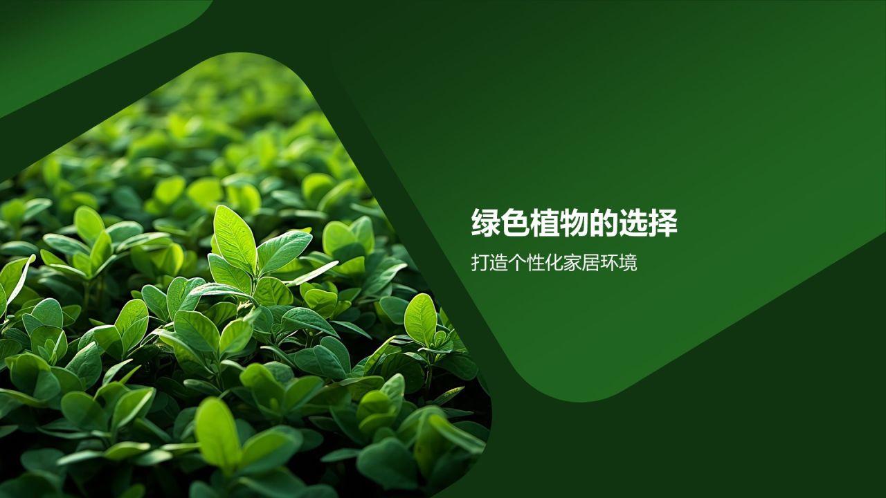 【家居绿色植物】