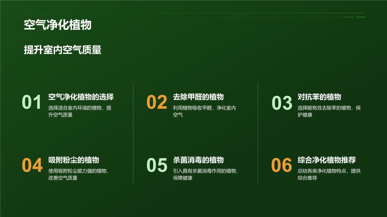 【家居绿色植物】