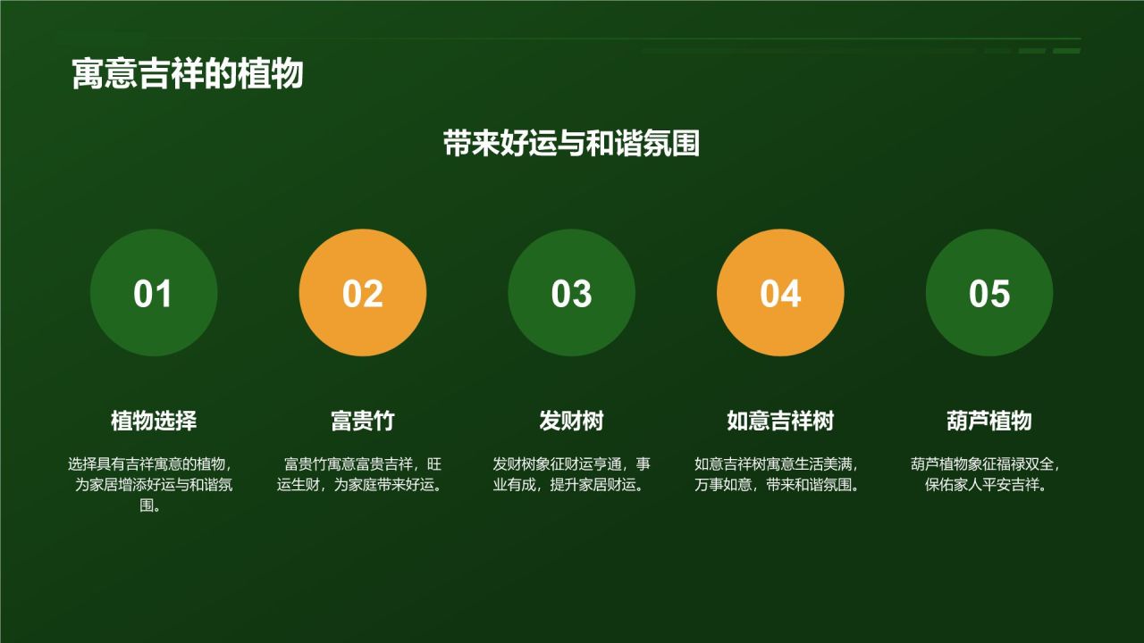 【家居绿色植物】
