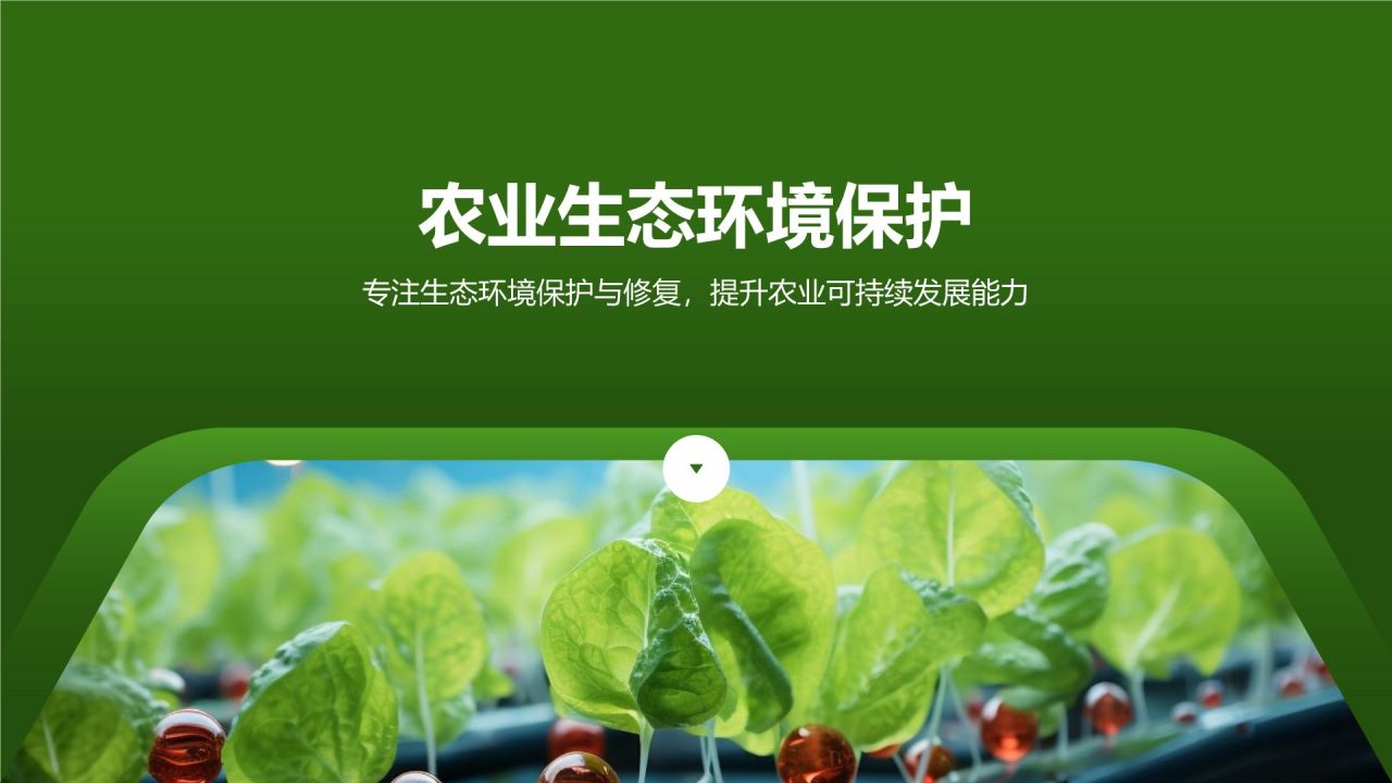 农业生态环境保护