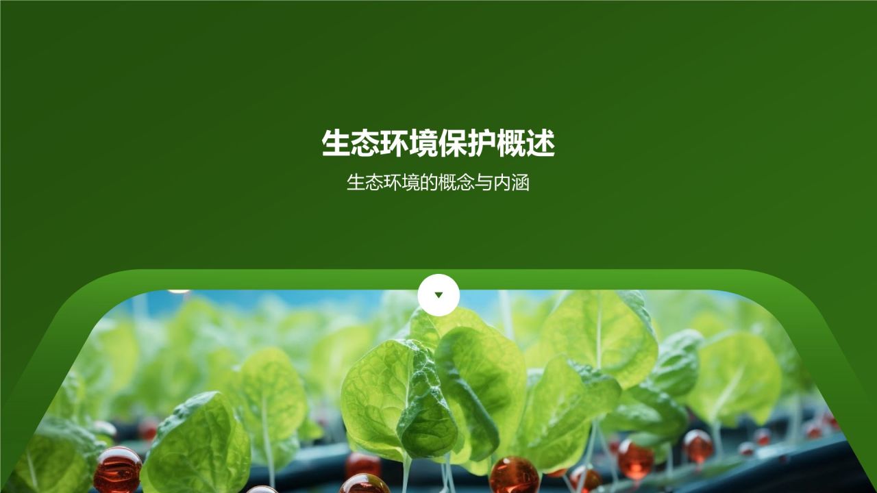 农业生态环境保护