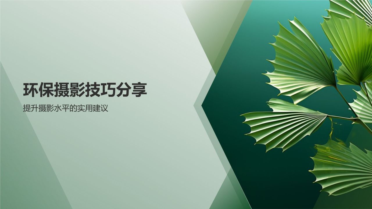 环保公益摄影大赛佳作