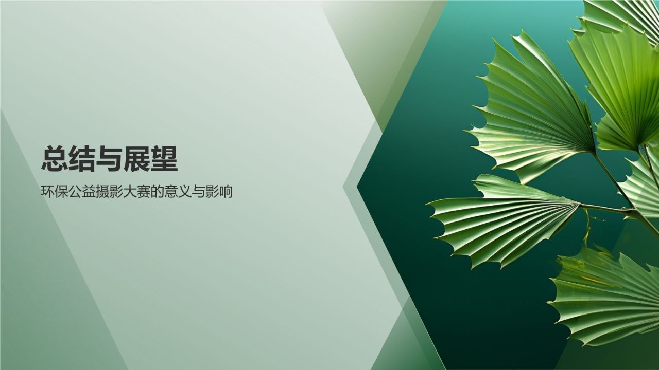 环保公益摄影大赛佳作