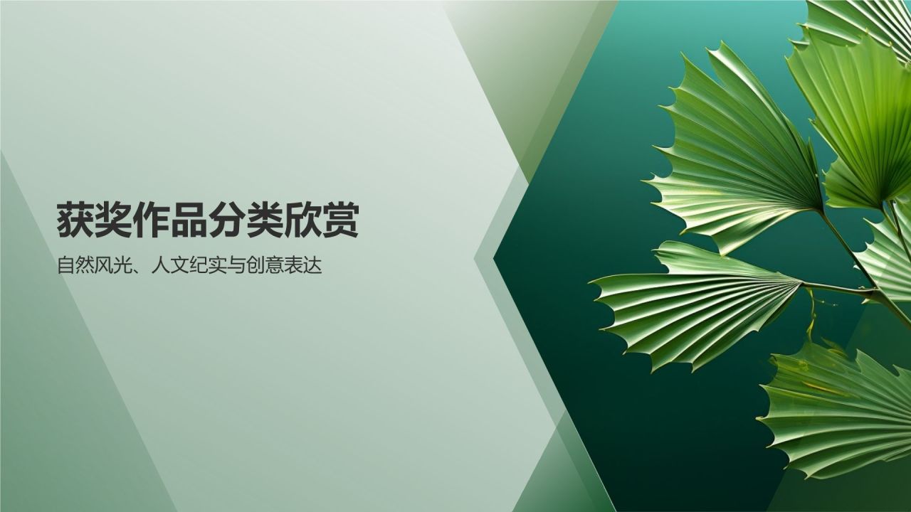 环保公益摄影大赛佳作