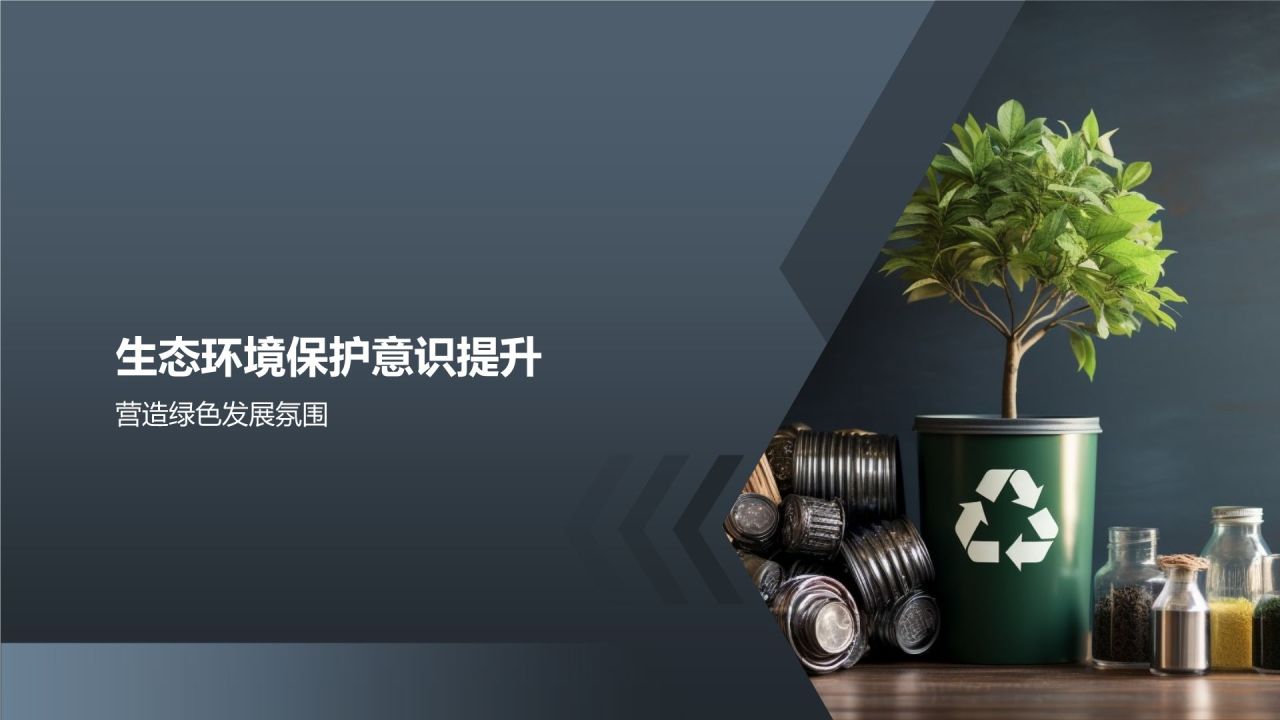 【标题】生态环境保护实施方案
